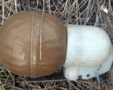 На Донетчине дети нашли гранату на спортивной площадке