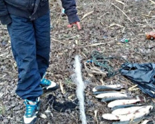 Мариупольский браконьер в Кальчике выловил рыбы на 10 тысяч гривен