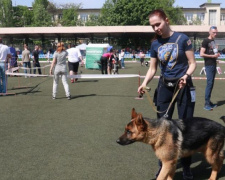 Конкурс в Мариуполе собрал 600 собак из разных регионов Украины и других стран (ФОТО)