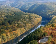 В природном парке Донецкой области вырубили деревьев на 11 млн грн