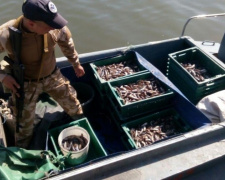 У берегов Мариуполя задержали браконьеров с девятью ящиками рыбы на 140 тыс.грн. (ФОТО)