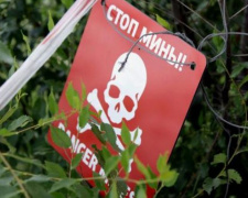 В Донбассе, подорвавшись на мине, погибли трое подростков