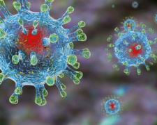 В Украине зафиксированы случаи южноафриканского штамма коронавируса