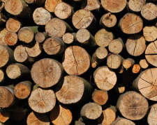 Комитеты самоорганизации населения в Мариуполе обеспечивают жителей дровами