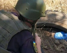 Автошина с сюрпризом: под Мариуполем обнаружили взрывоопасную находку (ФОТО)