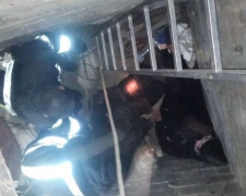 В Мариуполе женщины упали в глубокий подвал