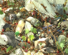 Маріуполь «тоне» у смітті - жителі скаржаться на численні стихійні звалища