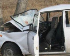 Под Мариуполем автомобиль врезался в дерево, пострадала пассажирка