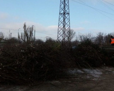 В Мариуполе срезали более 2000 деревьев (ФОТО)