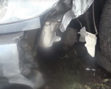 Водитель–камикадзе вылетел во сне на встречку в Мариуполе, сбив дерево (ФОТО)