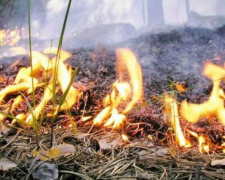 В Мариуполе к нарушителям, сжигающим листья во дворах, приедут полиция и пожарные