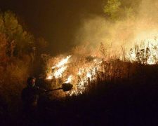 Донбасс в огне: сгорело 250 домов, эвакуировано порядка 1000 человек, закрыт КПВВ