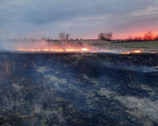 «Ситуация с пожарами ужасает»: на Донетчине резко увеличилось количество возгораний в экосистемах