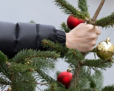 В Мариуполе новогодние елки утилизируют по-заморски