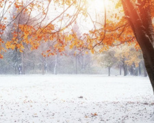 В Україну стукає зима: де на вихідних 18-19 листопада випаде перший сніг