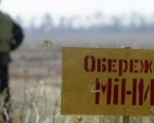 Жертвами мин в 2016 году стали 45 жителей Донбасса - ОБСЕ