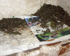 Житель Донбасса хранил дома почти три мешка конопли (ФОТО)