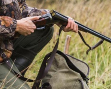 На Донетчине открылся охотничий сезон: какие документы необходимы для охоты   