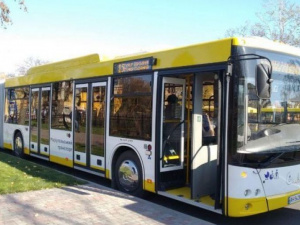 Стало известно, когда в Мариуполе начнут ездить 34 новых автобуса