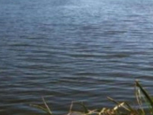 В Донецкой области в пруду нашли тело мужчины