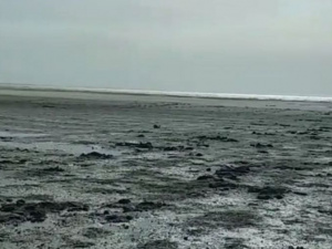 Море далеко отошло от мариупольского берега, оголив песчаное дно