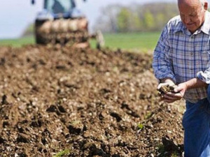 Операция «Урожай»: аграрии Донетчины задекларировали почти 50 миллионов гривен дохода 