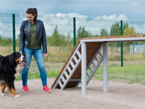 В Мариуполе появится современная площадка для выгула собак