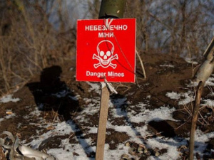 Миллион футбольных полей: Украина занимает одно из первых мест в мире по числу мин