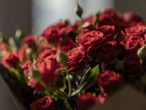 По каким случаям дарят красные розы
