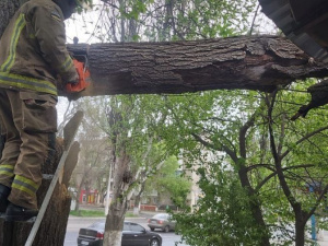 Спасатели ликвидируют последствия непогоды: в Мариуполе жизни горожан угрожало аварийное дерево, в Урзуфе – затопило Дом Культуры