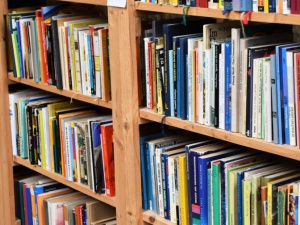 Найти книгу онлайн: в мариупольских библиотеках оцифровали все фонды