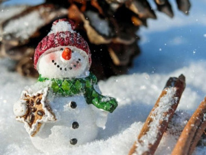 Подарок природы: в Мариуполе в праздник Нового года пойдет снег