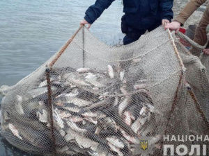 Под Мариуполем попался рыбный браконьер: ему грозит штраф до 51 тысячи гривен или тюрьма
