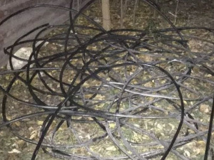 Воровали кабели: жителей Мариуполя поймали «на горячем»