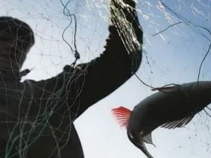 В Донецкой области браконьеры наловили рыбы на 600 тысяч гривен