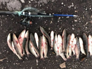 Мариупольские браконьеры наловили рыбы на 31 тысячу гривен