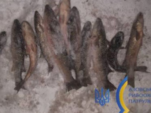 Охота на пиленгаса: в Мариуполе браконьер наловил рыбы на десятки тысяч гривен