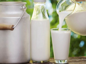 Жителям Мариупольского района бесплатно раздают молоко