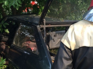 В Донецкой области в ДТП погиб мужчина и травмированы две женщины