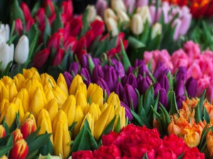 На цветочных ярмарках Мариуполя смогут торговать не только предприниматели. Куда подать заявку?