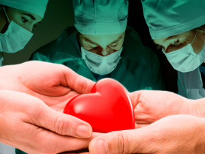 Как мариупольцам записаться в «лист ожидания» на трансплантацию сердца