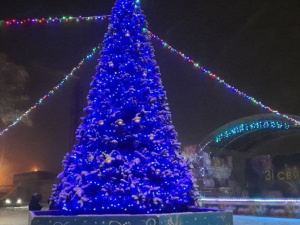 В мариупольском районе засияли новогодние елки: как они выглядят в громадах?
