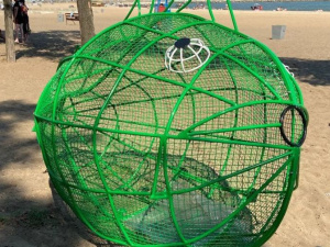 На мариупольском пляже появилась рыба, которая «ест» пластик