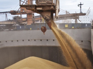 Україна веде перемовини з Туреччиною щодо експорту зерна через порти