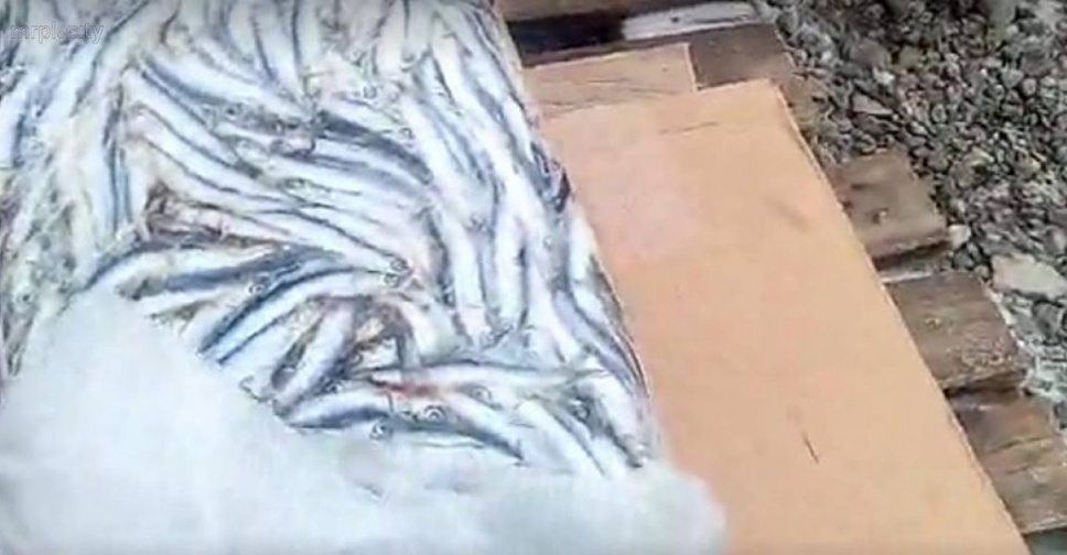 Забивка табака своими руками Забивка табака своими руками