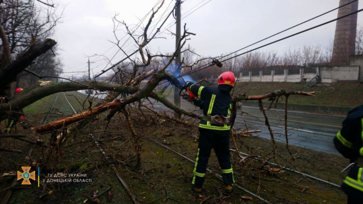 В Мариуполе рухнувшее дерево парализовало движение транспорта