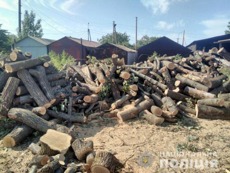 В Мариуполе разоблачили незаконный бизнес по вырубке деревьев (ФОТО)