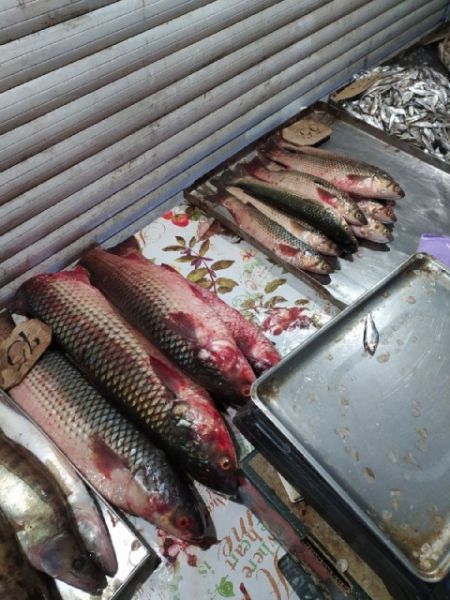 На одном из мариупольских рынков свыше ста килограммов рыбы продавали без документов