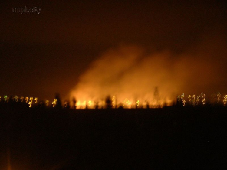 На окраине Мариуполя горят поля (ФОТОФАКТ)