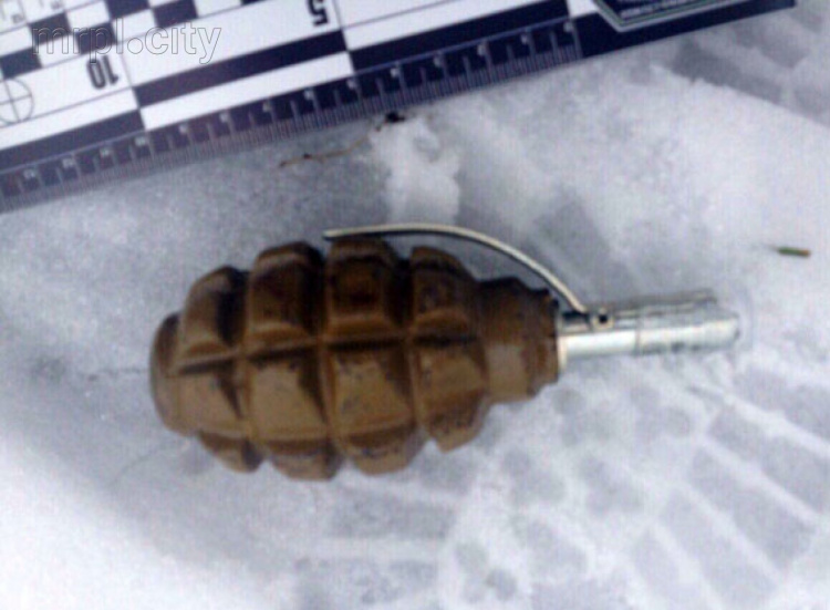 На Донетчине подростки нашли гранату Ф-1 (ФОТО)